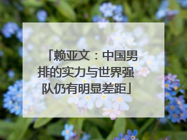 赖亚文：中国男排的实力与世界强队仍有明显差距