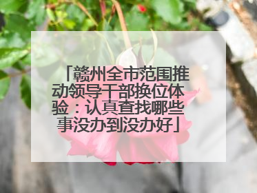 赣州全市范围推动领导干部换位体验：认真查找哪些事没办到没办好
