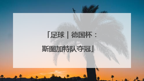 足球｜德国杯：斯图加特队夺冠