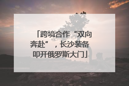 跨境合作“双向奔赴”，长沙装备叩开俄罗斯大门