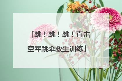 跳！跳！跳！直击空军跳伞救生训练