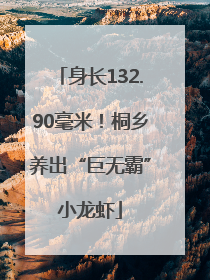 身长132.90毫米！桐乡养出“巨无霸”小龙虾
