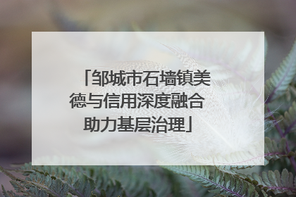 邹城市石墙镇美德与信用深度融合助力基层治理