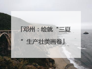 邓州：绘就“三夏”生产壮美画卷