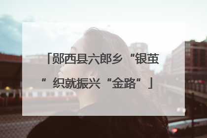 郧西县六郎乡“银茧”织就振兴“金路”