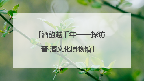 酒韵越千年——探访晋·酒文化博物馆