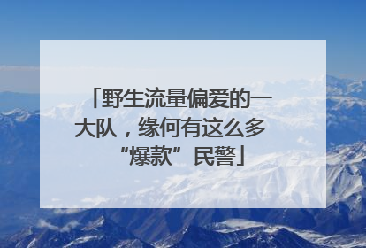 野生流量偏爱的一大队，缘何有这么多“爆款”民警