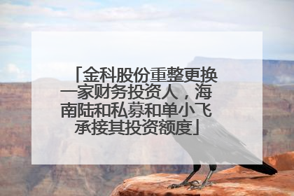 金科股份重整更换一家财务投资人，海南陆和私募和单小飞承接其投资额度