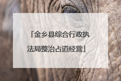 金乡县综合行政执法局整治占道经营