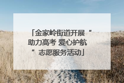 金家岭街道开展“助力高考 爱心护航”志愿服务活动