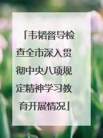 韦韬督导检查全市深入贯彻中央八项规定精神学习教育开展情况