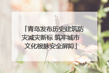 青岛发布历史建筑防灾减灾新标 筑牢城市文化根脉安全屏障