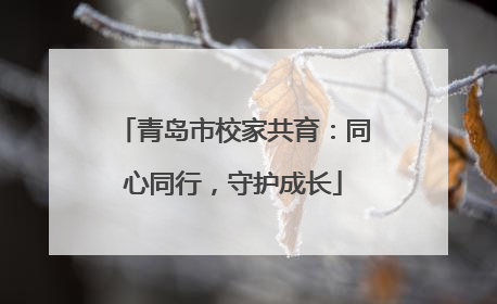 青岛市校家共育：同心同行，守护成长