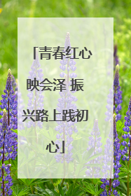 青春红心映会泽 振兴路上践初心