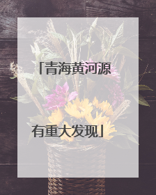 青海黄河源有重大发现
