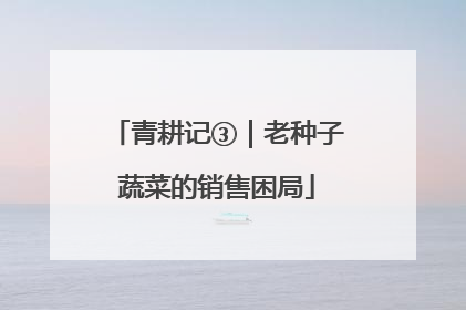 青耕记③｜老种子蔬菜的销售困局