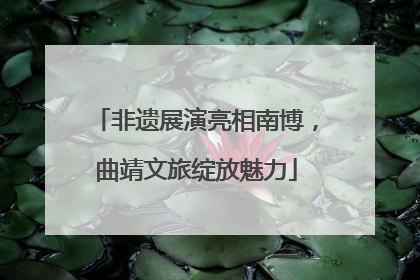 非遗展演亮相南博，曲靖文旅绽放魅力