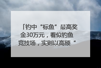 钓中“标鱼”最高奖金30万元，看似钓鱼竞技场，实则以高额“回报”作“饵”……｜今晚九点半