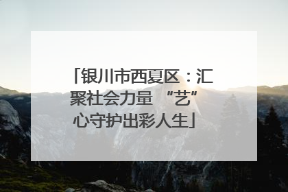 银川市西夏区：汇聚社会力量 “艺”心守护出彩人生