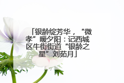 银龄绽芳华，“微孝”暖夕阳：记西城区牛街街道“银龄之星”刘茹月