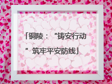 铜陵：“铸安行动”筑牢平安防线