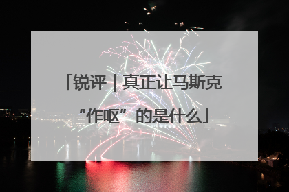 锐评｜真正让马斯克“作呕”的是什么