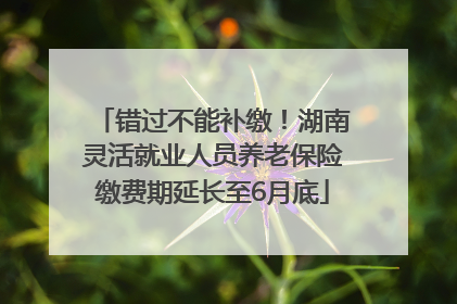 错过不能补缴！湖南灵活就业人员养老保险缴费期延长至6月底