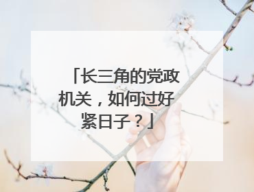 长三角的党政机关，如何过好紧日子？