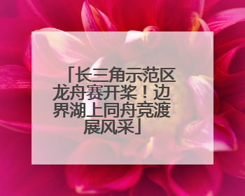 长三角示范区龙舟赛开桨！边界湖上同舟竞渡展风采