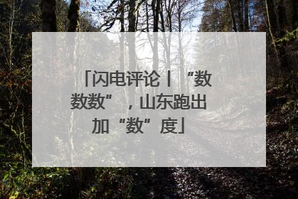 闪电评论丨“数数数”，山东跑出加“数”度