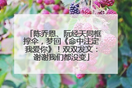 陈乔恩、阮经天同框撑伞，梦回《命中注定我爱你》！双双发文：谢谢我们都没变