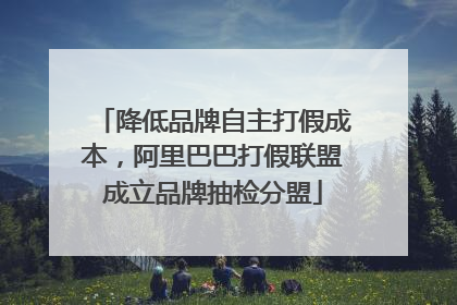 降低品牌自主打假成本，阿里巴巴打假联盟成立品牌抽检分盟