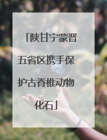 陕甘宁蒙晋五省区携手保护古脊椎动物化石