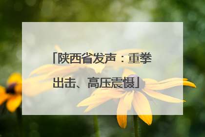 陕西省发声：重拳出击、高压震慑