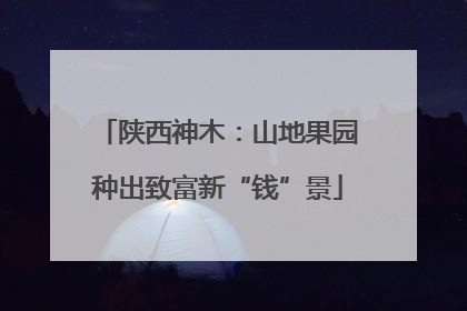 陕西神木：山地果园种出致富新“钱”景