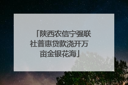 陕西农信宁强联社普惠贷款浇开万亩金银花海