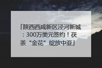 陕西西咸新区泾河新城：300万美元签约！茯茶“金花”绽放中亚