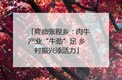 隆德张程乡：肉牛产业“牛劲”足 乡村振兴添活力