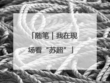 随笔｜我在现场看“苏超”