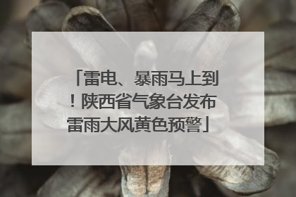 雷电、暴雨马上到！陕西省气象台发布雷雨大风黄色预警