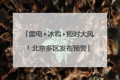 雷电+冰雹+短时大风！北京多区发布预警