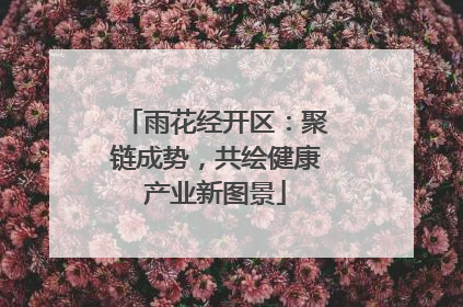 雨花经开区：聚链成势，共绘健康产业新图景