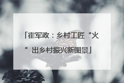 霍军政：乡村工匠“火”出乡村振兴新图景