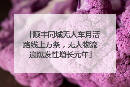 顺丰同城无人车月活路线上万条，无人物流迎爆发性增长元年