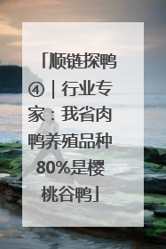 顺链探鸭④｜行业专家：我省肉鸭养殖品种80%是樱桃谷鸭