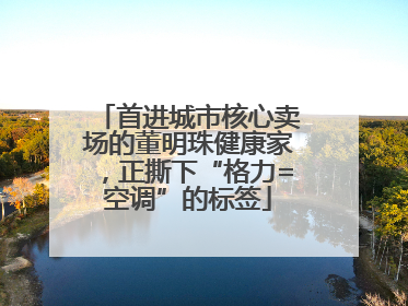 首进城市核心卖场的董明珠健康家，正撕下“格力=空调”的标签