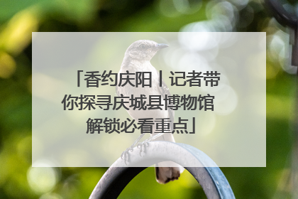 香约庆阳丨记者带你探寻庆城县博物馆 解锁必看重点