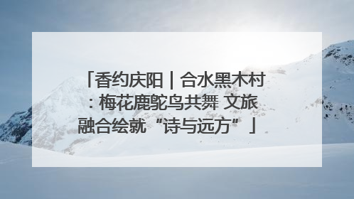 香约庆阳｜合水黑木村：梅花鹿鸵鸟共舞 文旅融合绘就“诗与远方”