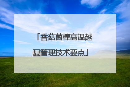 香菇菌棒高温越夏管理技术要点