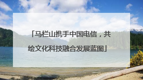 马栏山携手中国电信，共绘文化科技融合发展蓝图